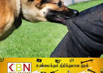 மின் நிலுவையை வசூலிக்க சென்ற அதிகாரிகள்; இரும்பு கம்பியால் தாக்கியத்துடன் நாய்களை விட்டு கடிக்க செய்த குடும்பம்!