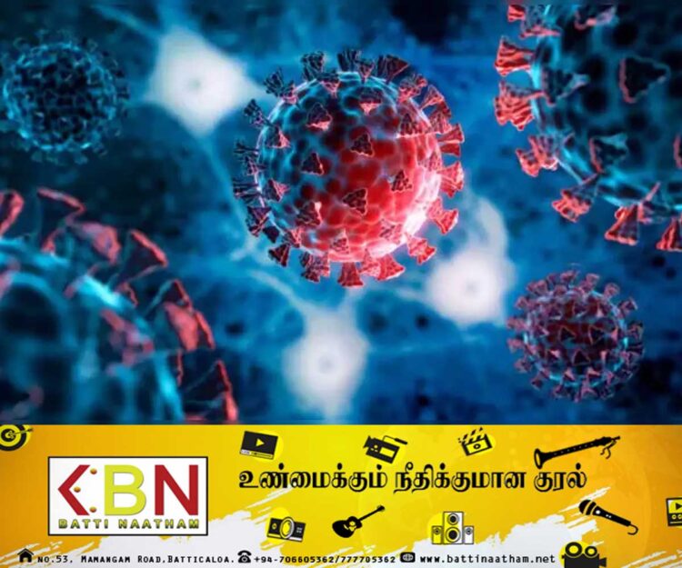 கொரோனாவை விட 20 மடங்கு ஆபத்தான வைரஸ்; உலக நாடுகளை தயார் நிலையில் இருக்குமாறு அறிவுறுத்தல்!