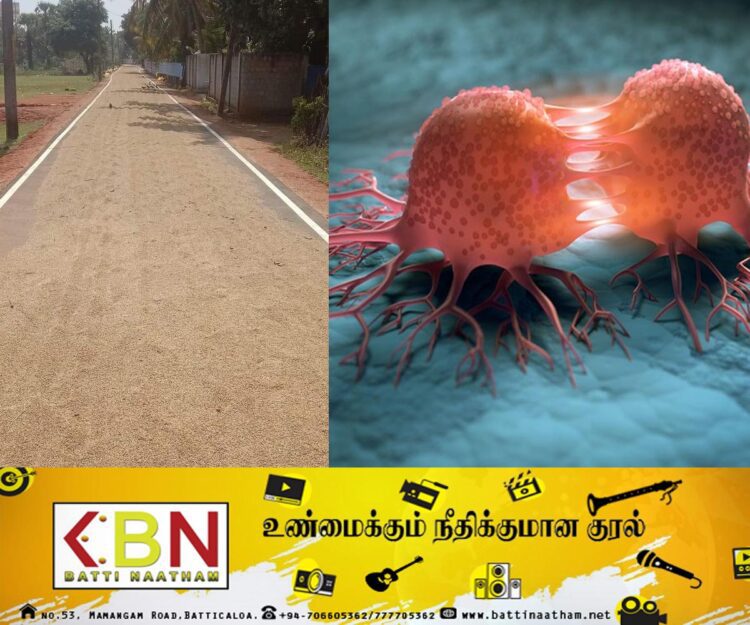 வீதியில் உலரவிடப்படும் நெல்லினால் புற்று நோய் ஏற்படும் அபாயம்; எச்சரிக்கை விடுத்துள்ள முல்லைத்தீவு பிராந்திய சுகாதாரசேவைகள் பணிப்பாளர்!