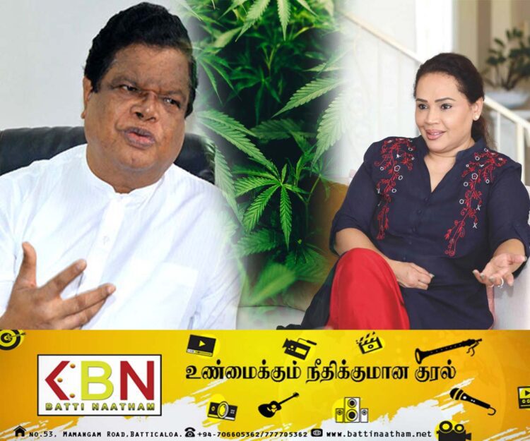 கஞ்சா பயிர் செய்கைக்கு அனுமதி; டயானா கமகே கூறியது பொய் என்கிறார் பந்துல!