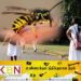 குளவி கொட்டுக்கு இலக்கான 73 பாடசாலை மாணவர்கள் வைத்தியசாலையில் அனுமதி!