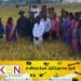 மட்டக்களப்பு மண்டூரில் பயிரிடப்பட்ட ஏ.ரி 378 வகை நெல்லினம் சிறந்த விளைச்சல்!
