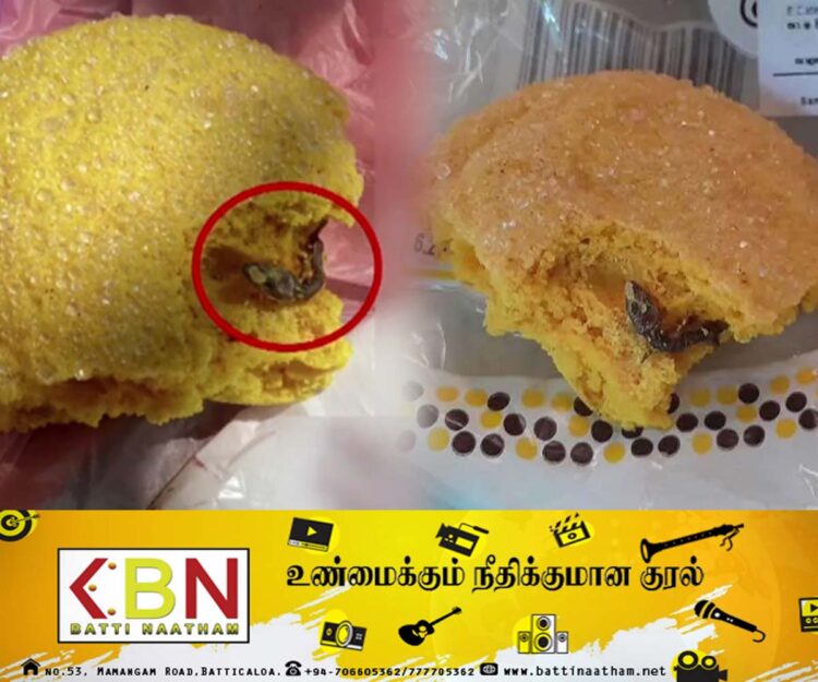 யானைக்கர்த்தானிற்குள் கிடந்த பல்லியால் பதற்றம்!