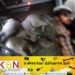 யாழில் மாடு கடத்திய பொலிஸ் உத்தியோகத்தர் உட்பட மூவர் கைது!