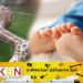 கொங்கிறீட்டிலான ஒட்டகச்சிவிங்கி சிலை வீழ்ந்ததில் சிறுவன் பலி!