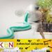 விளக்கமறியலில் உள்ள குற்றவாளிக்கு பற்பசை மூலம் போதைப்பொருள் விநியோகம்!
