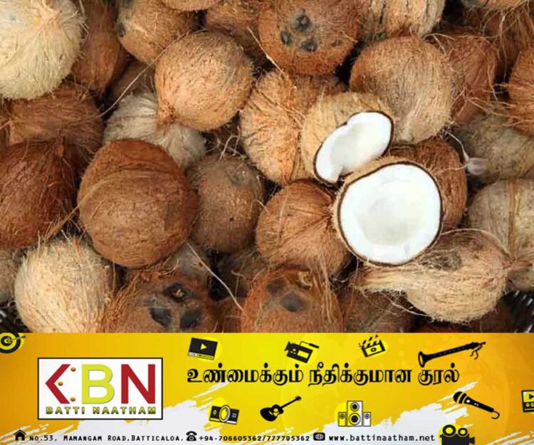 தேங்காய் விரயம் செய்யும் நாடுகளில் இலங்கை முதலிடம்!