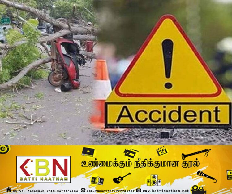 மோட்டார் சைக்கிள் மீது முறிந்து விழுந்த மரம்; யுவதி உயிரிழப்பு!