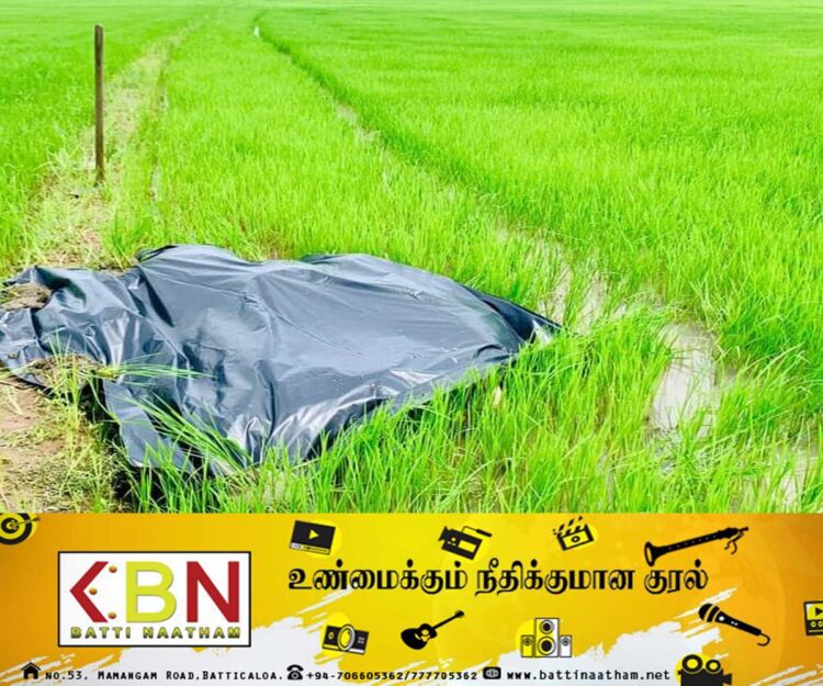 அடையாளம் தெரியாத ஆண் ஒருவரின் சடலம் மீட்பு!