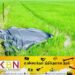 அடையாளம் தெரியாத ஆண் ஒருவரின் சடலம் மீட்பு!