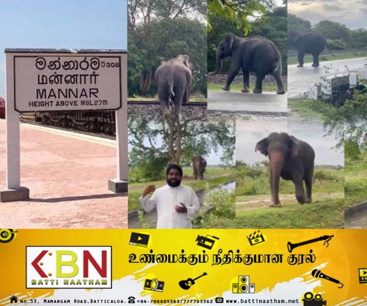 காட்டு யானைகளை வெளியேற்ற அரச அதிகாரிகள் முன்வர வேண்டும்; அருட்தந்தை டெஸ்மன் அஞ்சலோ அடிகளார் கோரிக்கை!