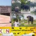 காட்டு யானைகளை வெளியேற்ற அரச அதிகாரிகள் முன்வர வேண்டும்; அருட்தந்தை டெஸ்மன் அஞ்சலோ அடிகளார் கோரிக்கை!