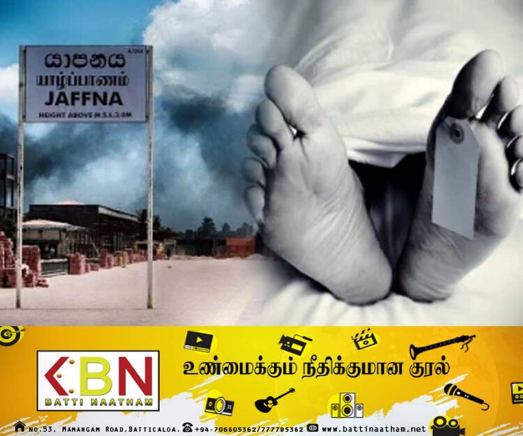 யாழ் ஆலயமொன்றின் மரத்தை வெட்டிய நபர் தவறி விழுந்து உயிரிழப்பு!