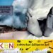 யாழ் ஆலயமொன்றின் மரத்தை வெட்டிய நபர் தவறி விழுந்து உயிரிழப்பு!