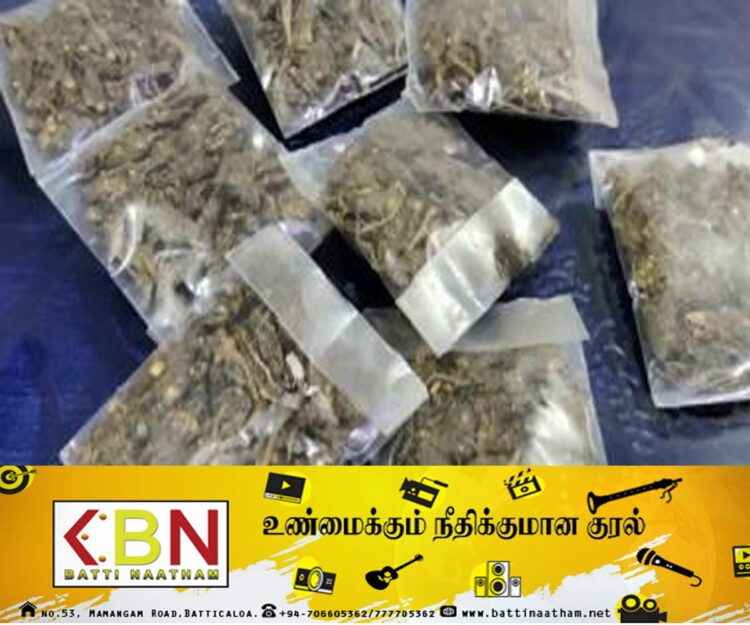 குஷ் போதைப் பொருளுடன் கட்டுநாயக்க விமான நிலையத்தில் இளைஞன் கைது!