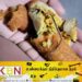 யாழ் வெதுப்பக ரோலில் இருந்த துருப்பிடித்த கம்பி!