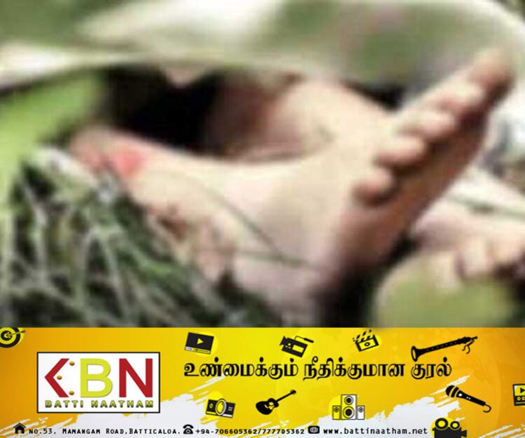 மல்வான மாயிவல பிரதேச வயல்வெளியில் இரு இளைஞர்களின் சடலம் மீட்பு!