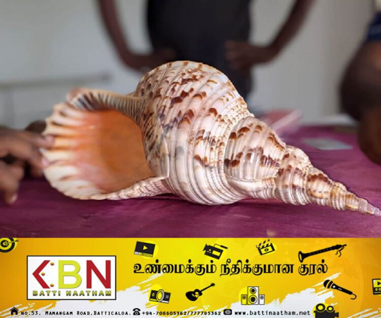 வலம்புரிச் சங்குடன் ஒருவர் கைது!