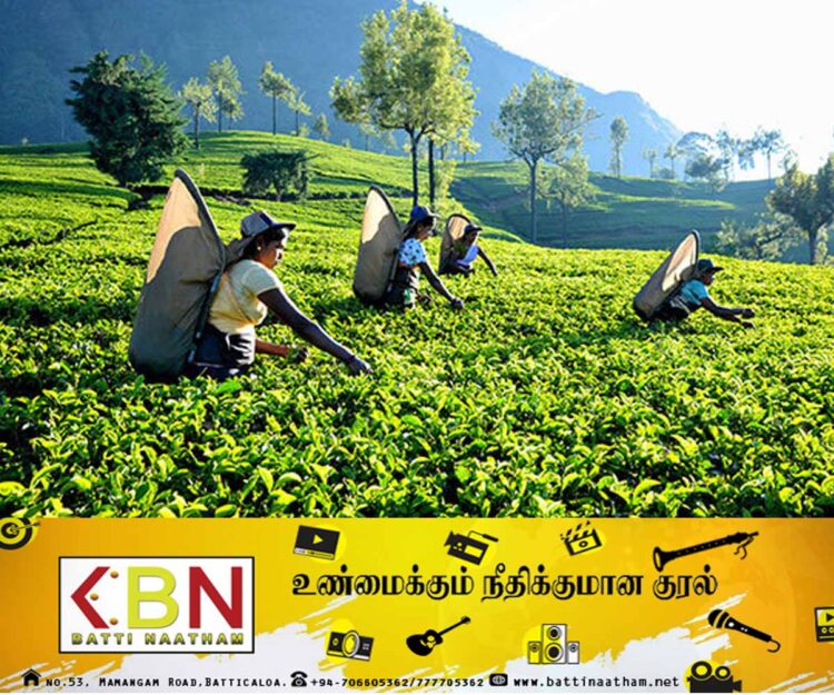 தோட்டதொழிலாளர்களின் சம்பள உயர்வை வழங்க முடியாது; இலங்கை பெருந்தோட்ட கம்பனிகள் சங்கம் தெரிவிப்பு!