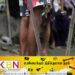 மன்னாரில் வாள் வெட்டு; பொலிஸாரிடம் கோரிக்கை விடுத்துள்ள பொது மக்கள்!