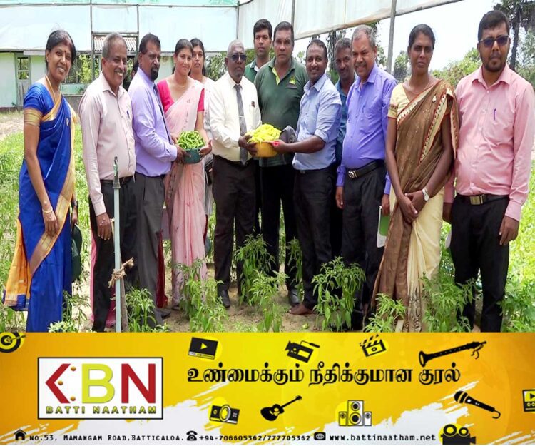 மட்டு நகரில் துரித உணவு உற்பத்தி திட்டத்தின் கீழ் பயிரிடப்பட்ட பயிர்களின் அறுவடை விழா!