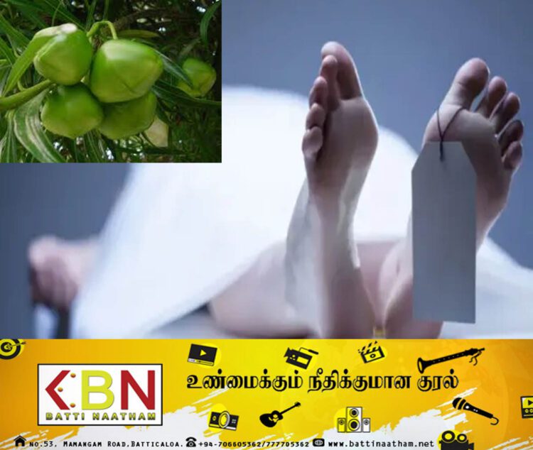 காதல் தொடர்பை நிறுத்த தாய் கோரியதால் அலரி விதையை உட்கொண்ட யுவதி உயிரிழப்பு!