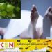 காதல் தொடர்பை நிறுத்த தாய் கோரியதால் அலரி விதையை உட்கொண்ட யுவதி உயிரிழப்பு!