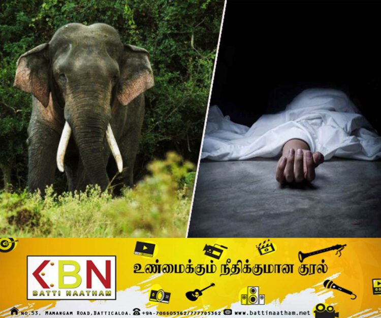 கிண்ணியா பகுதியில் யானை தாக்குதலுக்கு இலக்காகிய குடும்பஸ்த்தர் உயிரிழப்பு!