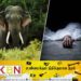 கிண்ணியா பகுதியில் யானை தாக்குதலுக்கு இலக்காகிய குடும்பஸ்த்தர் உயிரிழப்பு!