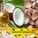 தேங்காய் எண்ணெய் தொடர்பாக வெளியான தகவல்!