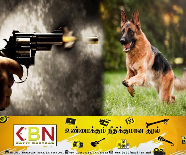 சோதனைக்கு சென்ற பொலிஸ் அதிகாரிகள் குழுவை நாயை விட்டு கடிக்க வைத்தவர் கைது!