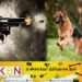 சோதனைக்கு சென்ற பொலிஸ் அதிகாரிகள் குழுவை நாயை விட்டு கடிக்க வைத்தவர் கைது!