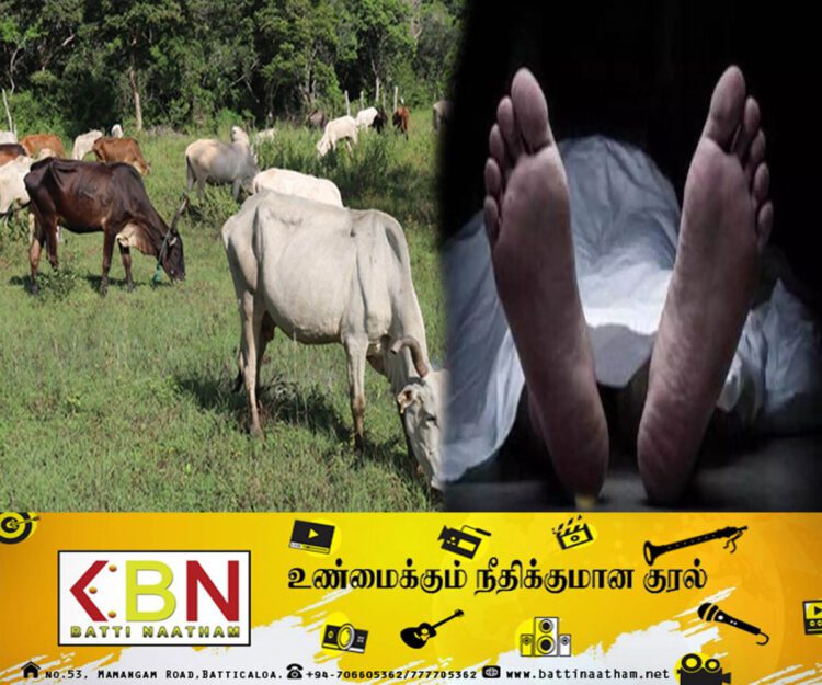 மாடு மேய்க்கச் சென்ற இளைஞன் குளக்கட்டில் சறுக்கி விழுந்து மரணம்!