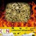 புத்தளம் பகுதியில் போதைப்பொருட்கள் எரியூட்டப்பட்டு அழிப்பு!