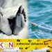 கடலில் மிதந்து வந்த போத்தலில் இருந்த திரவத்தை அருந்திய நால்வர் உயிரிழப்பு!