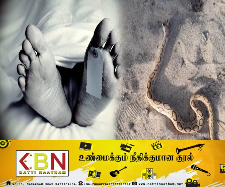 யாழில் பாம்பு தீண்டிய பெண் உயிரிழப்பு!