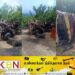 பதுளை விபத்தில் நால்வர் உயிரிழப்பு!