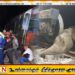 மட்டக்களப்பிலிருந்து கொழும்பு நோக்கி பயணித்த ரயிலில் யானைக் கூட்டம் மோதி விபத்து; 06 யானைகள் பலி