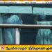 அமெரிக்கா நாடுகடத்திய இலங்கையர் உட்பட பலர் பனாமாவில்; வெளியான தகவல்