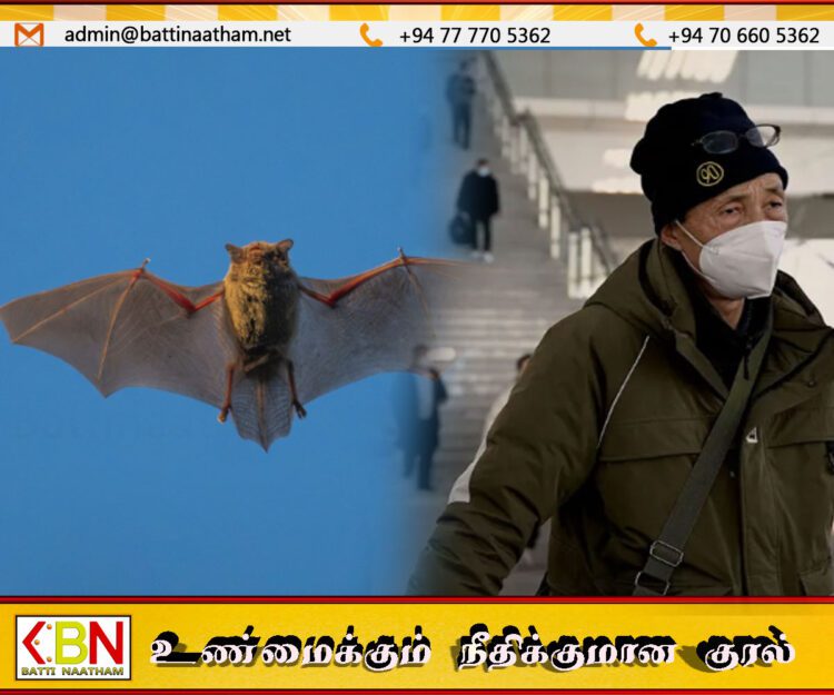 மீண்டும் மனிதர்களிடையே பரவும் புதிய வகை கோவிட் 19 வைரஸ்; வெளியான அதிர்ச்சி தகவல்