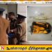 கொழும்பில் அடுக்குமாடி குடியிருப்பில் வசிக்கும் பெண் ஒருவரிடம் இருந்து கைப்பற்றப்பட்ட துப்பாக்கி