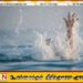 மிரிஸ்ஸ கடல் அலையில் அடித்துச் செல்லப்பட்ட இரு வெளிநாட்டு பிரஜைகள்  மீட்பு