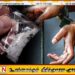 நகரசபை வேட்பாளர் போதைப்பொருளுடன் கைது