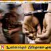 துப்பாக்கி முனையில் 8.5 மில்லியன் கொள்ளையிட்ட பொலிஸார் கைது