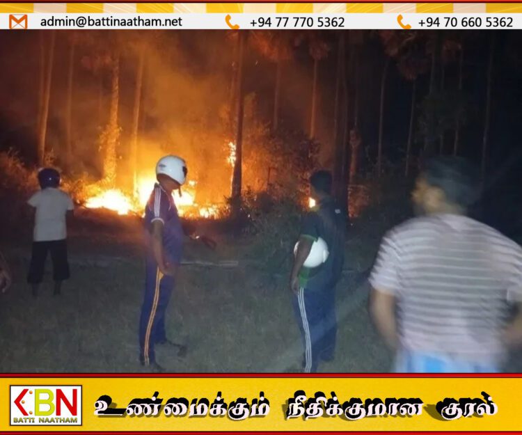 யாழ் கசூரினா கடற்கரையை அண்மித்த பகுதிகளில் தீ விபத்து