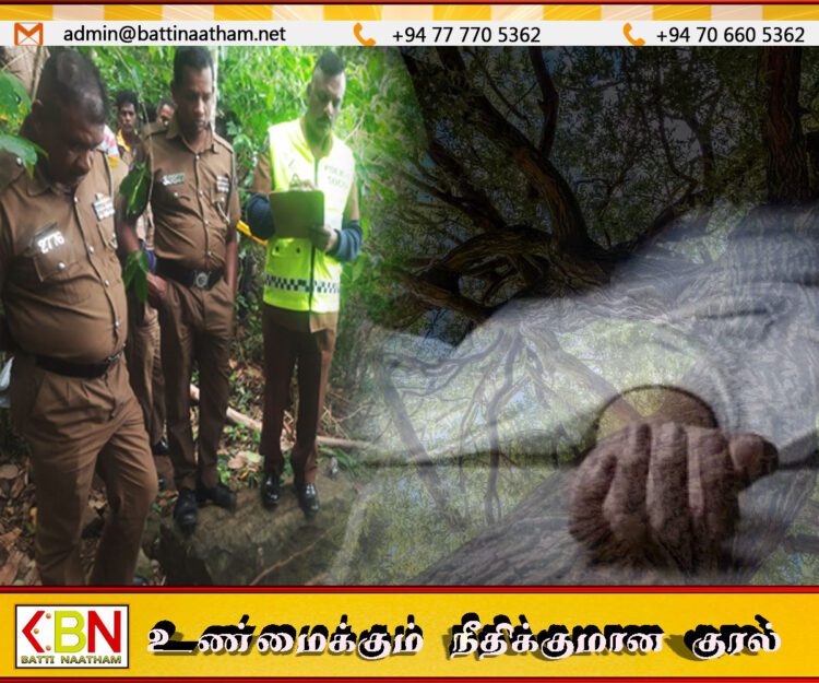 மரக்கிளை முறிந்து விழுந்ததில் பெண் ஒருவர் உயிரிழப்பு