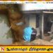 மலசலகூட குழியில் இருந்து சடலமாக மீட்கப்பட்ட சிறுவன்