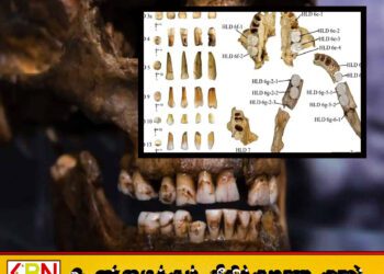 சீனக் குகையில் கண்டெடுக்கப்பட்ட 3 இலட்சம் ஆண்டு பழமையான பற்கள்; புதிய மனித இனம் இருந்ததற்கான சான்றா?