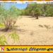 குருக்கள்மடம் மனித புதைகுழியின் அகழ்வுப்பணிகள் அடுத்த வாரம் ஆரம்பம்