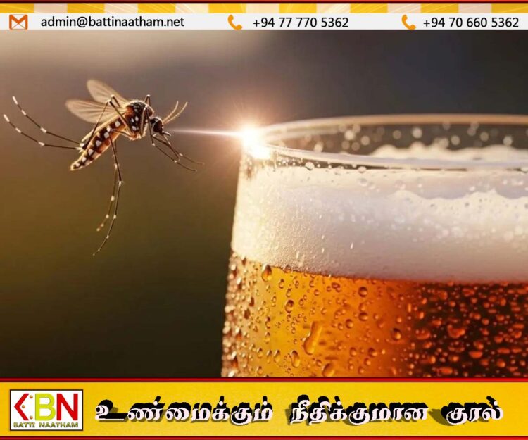 பீர் அருந்துவோர் நுளம்புகளை அதிகம் ஈர்ப்பதாக ஆய்வில் தகவல்